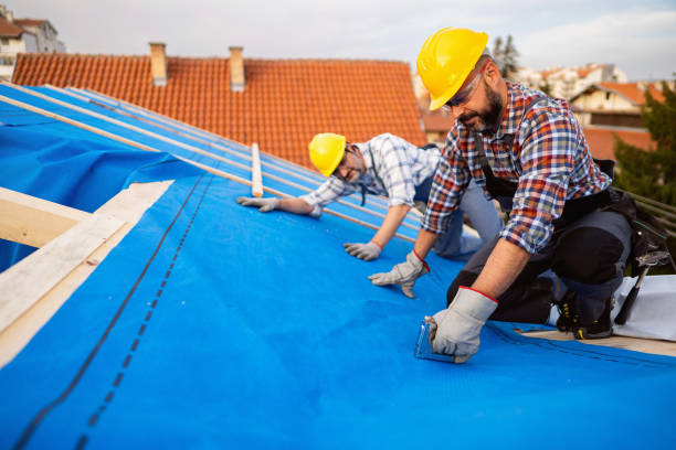 Best Metal Roofing Contractor  in Hermantown, MN