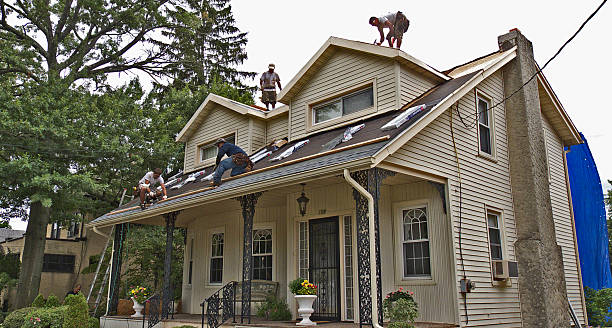 Best Emergency Roof Repair  in Hermantown, MN